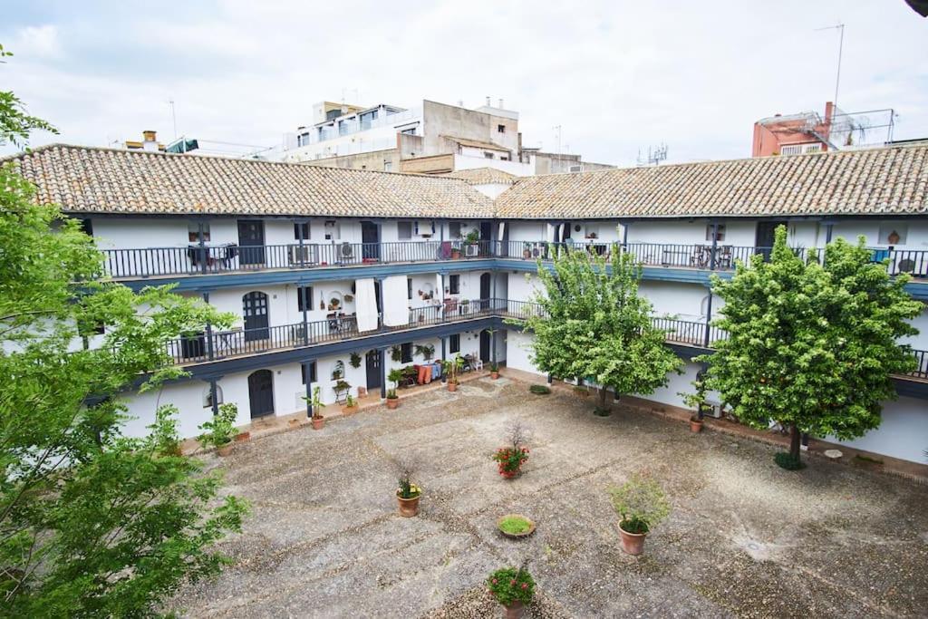 Corral Central Oasis Sevilla Dış mekan fotoğraf
